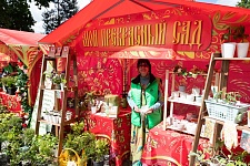 День Святой Троицы