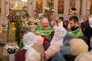 Вход Господень в Иерусалим (Вербное Воскресенье)