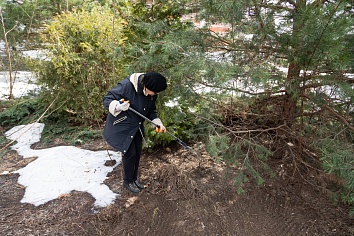 Благоустройство территории