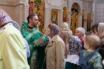 Вход Господень в Иерусалим (Вербное Воскресенье)