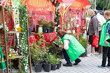 День Святой Троицы