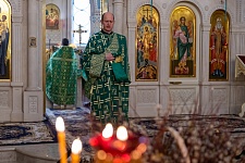 Вход Господень в Иерусалим