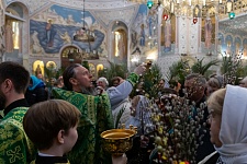 Вход Господень в Иерусалим