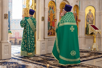 Вход Господень в Иерусалим (Вербное Воскресенье)