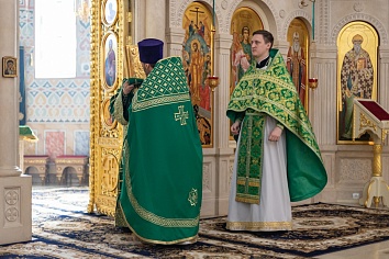 Вход Господень в Иерусалим (Вербное Воскресенье)