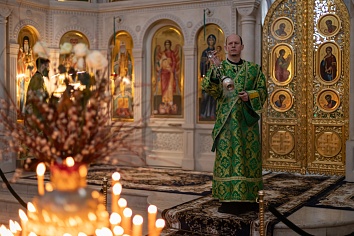 Вход Господень в Иерусалим (Вербное Воскресенье)