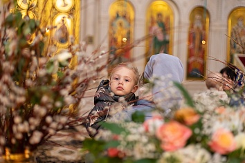 Вход Господень в Иерусалим (Вербное Воскресенье)