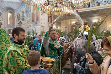 Вход Господень в Иерусалим (Вербное Воскресенье)