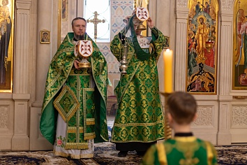 Вход Господень в Иерусалим (Вербное Воскресенье)