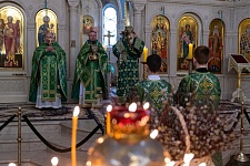 Вход Господень в Иерусалим