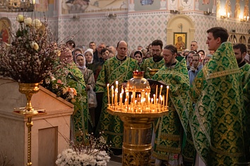 Вход Господень в Иерусалим (Вербное Воскресенье)