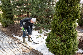 Благоустройство территории