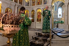 Вход Господень в Иерусалим