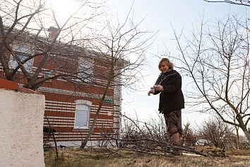 Благоустройство территории