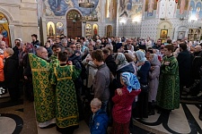 Вход Господень в Иерусалим