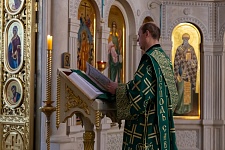 Вход Господень в Иерусалим