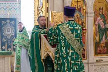 Вход Господень в Иерусалим (Вербное Воскресенье)