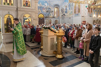 Вход Господень в Иерусалим (Вербное Воскресенье)