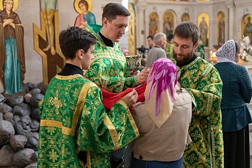 Вход Господень в Иерусалим (Вербное Воскресенье)