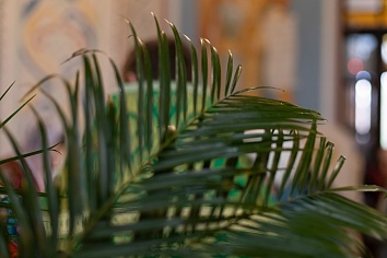 Вход Господень в Иерусалим (Вербное Воскресенье)